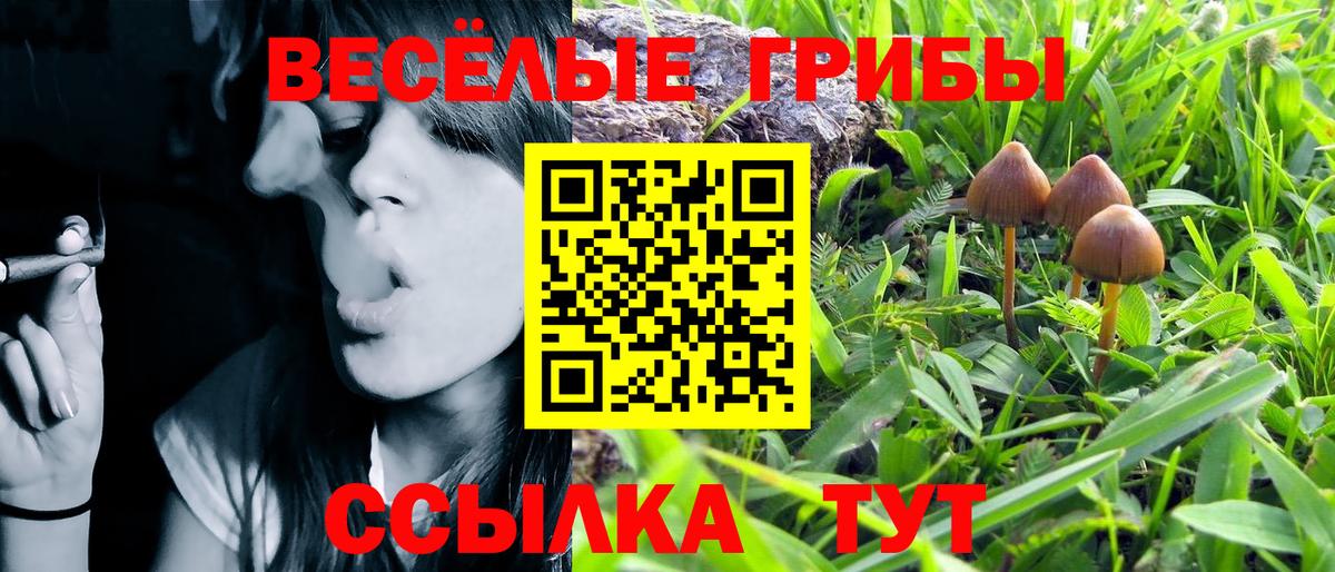 Псилоцибиновые грибы ЛСД Кемерово