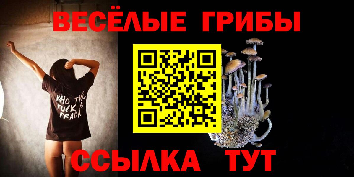 Кемерово  Псилоцибиновые грибы GOLDEN TEACHER  Вход с VPN 